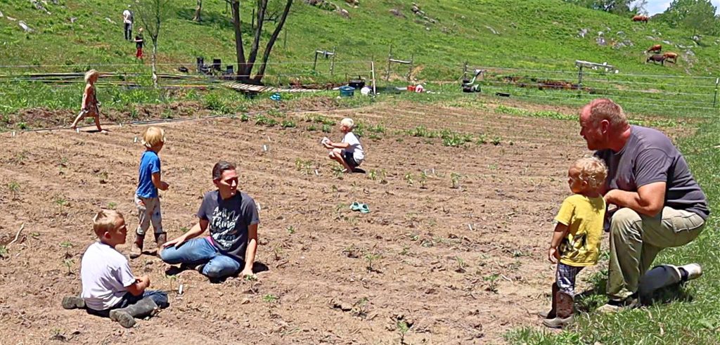 Homesteading-as-a-family